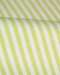 Oxford Striped Shirt - Lime Green