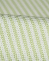 Oxford Striped Shirt - Green